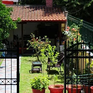 https://studio-theano.hotelschalkidiki.net